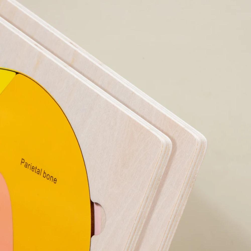 Wooden puzzle game for toddler Human Brain Anatomy structure Brain Parts Matching Homeschool Activity Kids Science Game