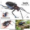 TPR Cognitive Decompression Toy: Realistic Insect and Animal Models (Cockroach, Mosquito, Ant, Fly, Spider, Python)