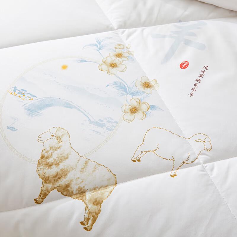 HONGDOU Chinese Style Warm Wool Winter Quilt