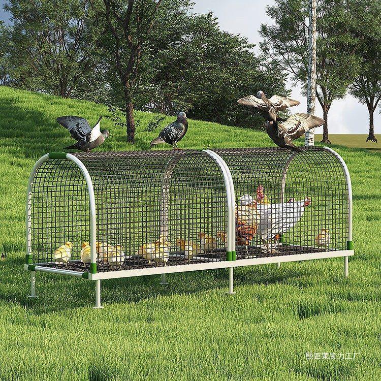 Chicken Walking Tunnel: Ground Cage Extension for Pet Chickens
