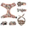 Personalized Boho Floral Girly Dog Collar Flower with Matching Leash and Harness