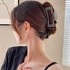 Exquisite Acrylic Claw Clip for Thick Hair - Large High-End Shark Hairpin
