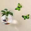 3Pcs Round Wall-Hanging Glass Vase Minimalist Transparent Hydroponic Planter Green Plant Decoration for Home and Garden Care