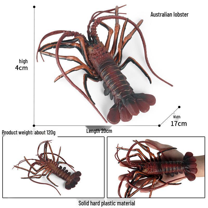 Marine Animal Simulation Model Figures: Shark, Dolphin, Hammerhead, Crab, Squid, Starfish for Kids' Education