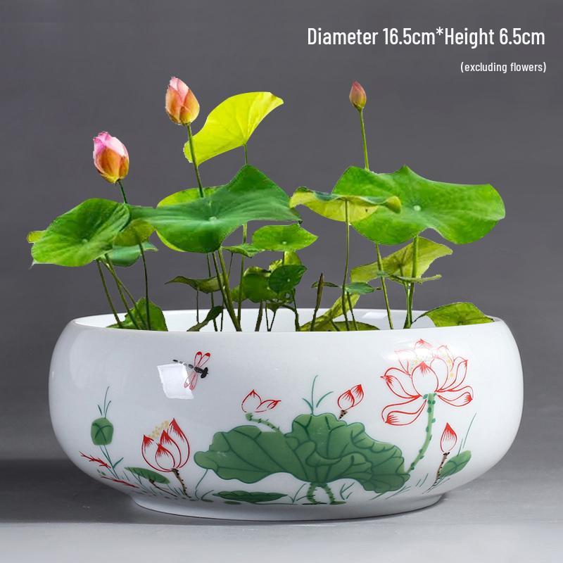 Großer Keramik-Lotus Seerose Hydroponischer Blumentopf ohne Abfluss