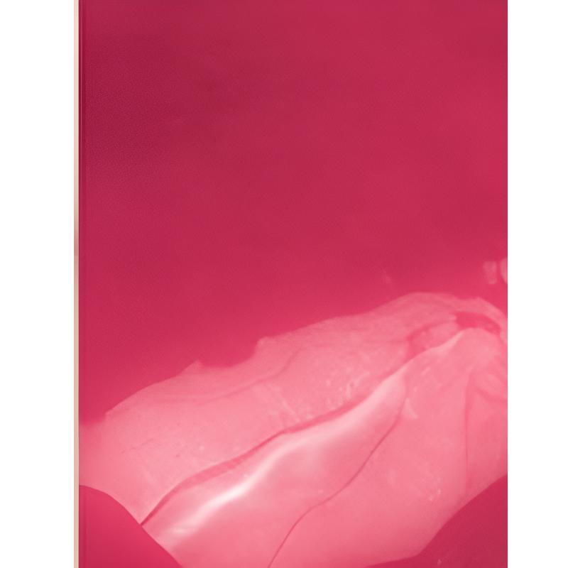 Rom&nd The Juicy Lasting Tint