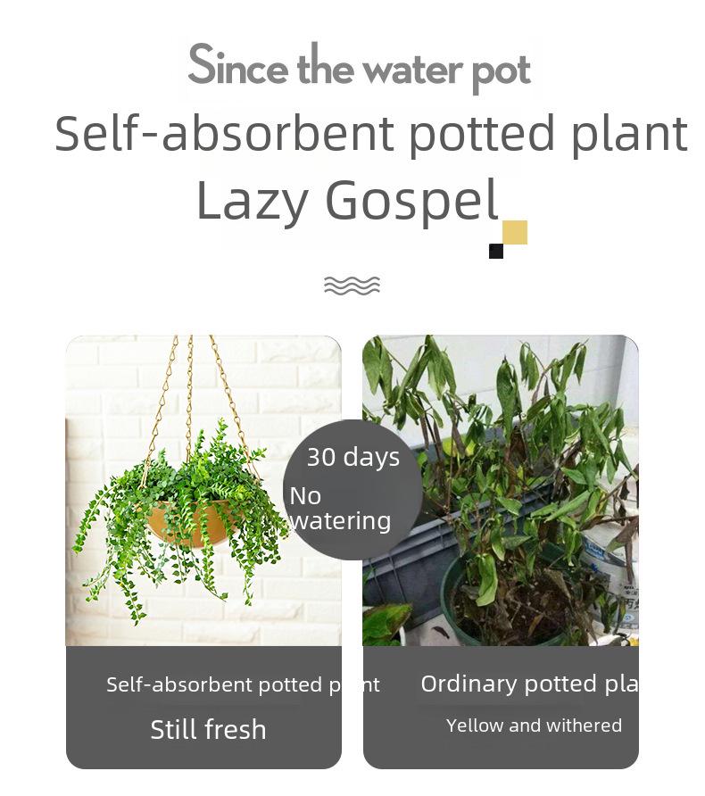 Iron Hanging Flower Pot for Hydroponic and Succulent Plants, European Garden Decoration