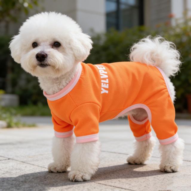 Vêtements pour animaux de compagnie pour chiens et chats: Combinaison à quatre pattes, Anti-moustiques, pour Grandes Races - Idéale pour la Climatisation, Teddy, Bichon.