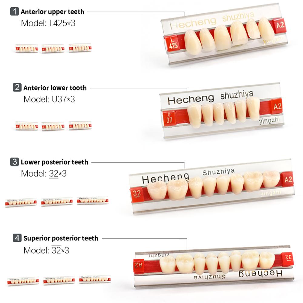 Artificial Tooth Acrylic Resin Temporary False Teeth Upper Lower Denture Halloween Horror Prop For Women And Men