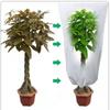 Plant Cover Winter Warm Cover Tree Shrub Plant Protecting Bag Frost Protection for Yard Garden Plants Small Tree Against Cold