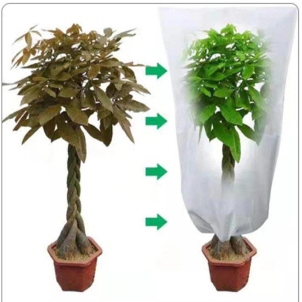Plant Cover Winter Warm Cover Tree Shrub Plant Protecting Bag Frost Protection for Yard Garden Plants Small Tree Against Cold