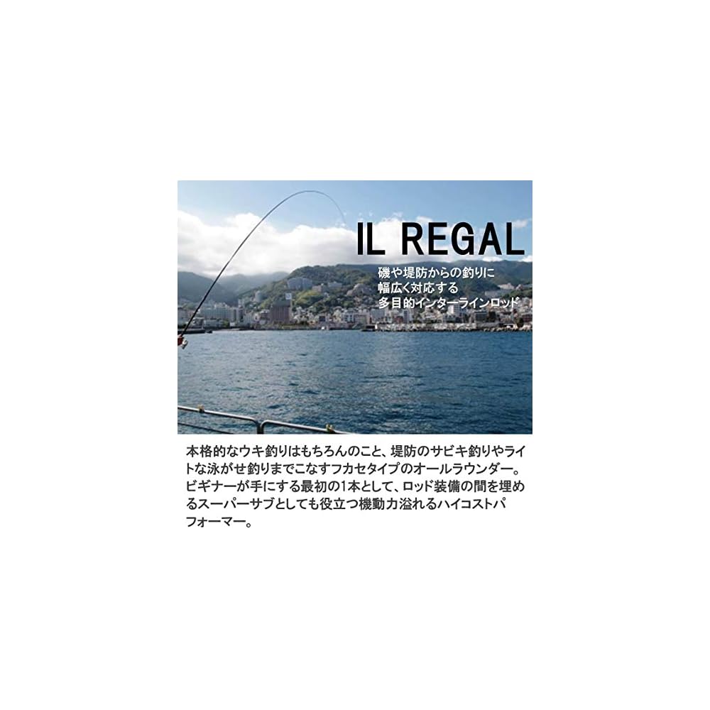Daiwa IL Legal 1.5-42 Fishing Rod for Pier and Offshore Fishing