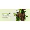 Beauty of Joseon - Calming Serum