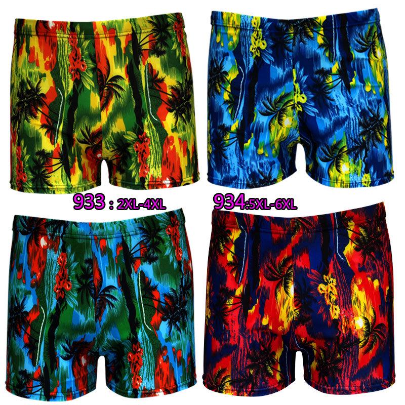Printed Plus Size Fashion Flat Leg Swimsuit 933-934