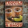 Vintage Metal Poster Tequila Lime 8x12 Inch Wall Art for Bar