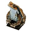 NATURE TECHNI COLOUR Toad Series Gashapon Toys Simulation Model Ornaments Box Toys