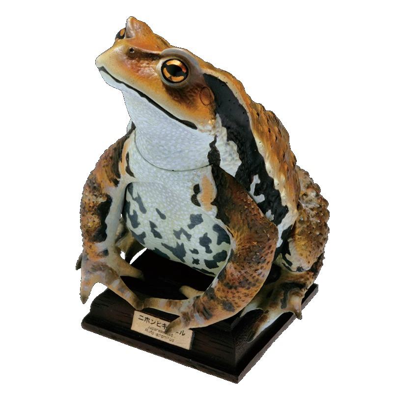 NATURE TECHNI COLOUR Toad Series Gashapon Toys Simulation Model Ornaments Box Toys