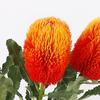 Artificial Banksia Flower Innovative Simulation Light Luxury Artificial Flowers Decorations for