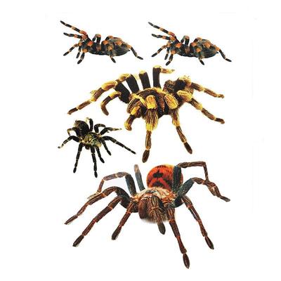 3D Zwierzęta Auto Naklejka PCV Motyl Ważka Jaszczurka Pająk Skorpion Naklejki Samochodowe 20x30 cm