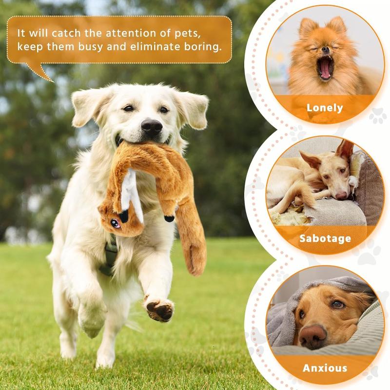Giocattoli per Cani Senza Imbottitura, Confezione da 5 Giocattoli Cani Stridenti Indistruttibili, Morbido Giocattolo in Peluche per Cani Piccoli Medi Grandi