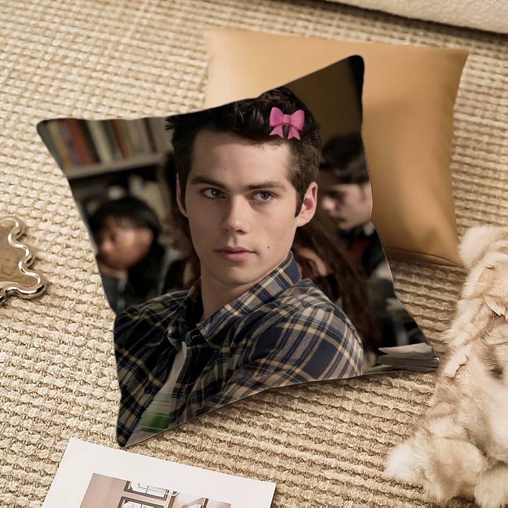 D-Dylan O Brien Pillow Case Anti-dustmite Invisible zipper Sofa Bed