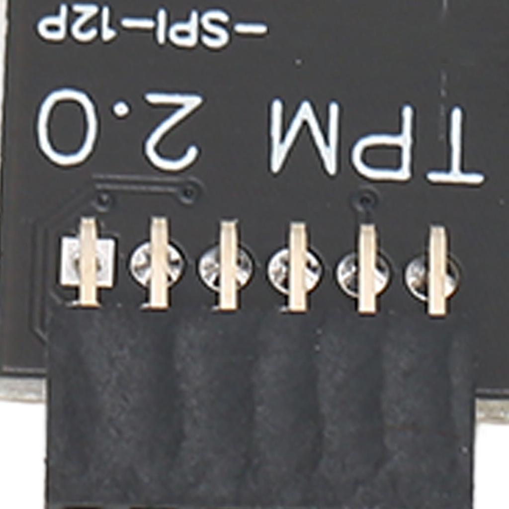 TPM2.0 Encryption Security Module for GIGABYTE Mainboard SPI 12Pin Security Module for WIN 11 2.0