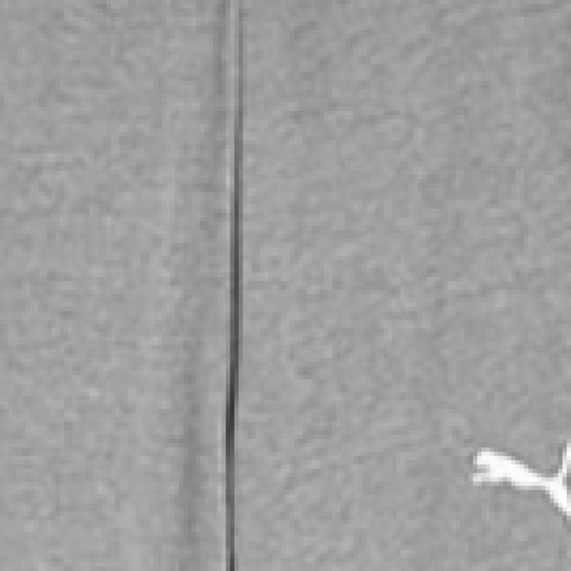 Puma Galleria Puma Teamgoal Casual Sweatshirt Grey Mens Pocket Long Pants