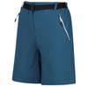 Шорты Xert Stretch Shorts Iii Синий
