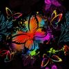 Royal Velvet Fabric Polyester For Sewing - Motif Butterflies On Black 2