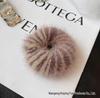 Korean Mink Fur Hair Tie: Cute & Plush High-End Hair Accessory for Women