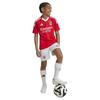 Adidas Benfica Soccer Training Jersey 100% Recycled Polyester red