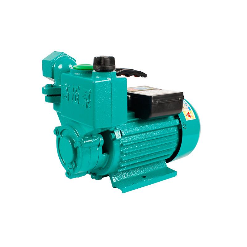 Single-phase 220V Self-Priming High-Pressure Centrifugal Water Pump with Automatic Start-Stop Function for Wells