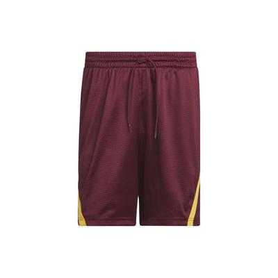 Bas – Shorts