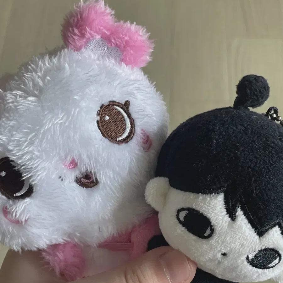 

Nct Wish Sakuya Doll Dudukuya Cost