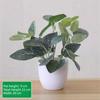 False Plants Artificial Flower Bonsai Simulated Tree Pot Plants Potted Ornaments  Home Garden Decor