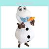 Fatos e acessórios – Mascote