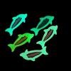 4Pcs Cute Cartoon Dolphin Bb Hair Clip For Women Girls Versatile Bangs Side Clip Fashion Hair Accessories Gifts