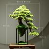 Chinese-style simulation plant bonsai indoor welcoming pine green plant potted fake tree micro-landscape decoration decoration