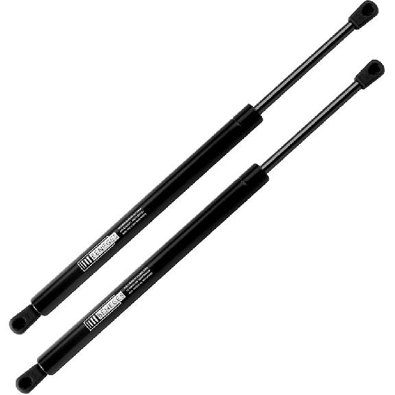 2PCs Rear Trunk Lift Supports Compatible With 2008-2016 Dodge Challenger Trunk Gas Charged Struts Shocks Dampers With Spoiler 04589645AA, 6657