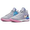 Nike Zoom LeBron NXXT Gen EP 1984 Men Sneakers Grey Wolf-Grey Pink-Spell DR8788-002