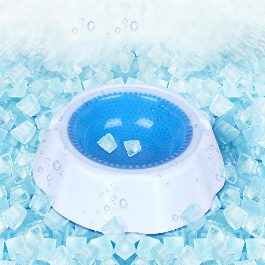 Pet Cooling Bowl Non-Toxic Durable Plastic Material Anti-Slip Base Designed for Maintaining Cool Water Temperature for Pets