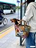 Hand-Woven Portable Pet Bag: Outdoor, Breathable, Lightweight, Fashionable for Cats & Dogs