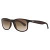 Ray Ban Rb4202 Andy 607313 Men Sunglasses