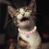 Kitten Collar Adjustable Cat Necklace for 2Pcs Pink Pet Neck Ornament