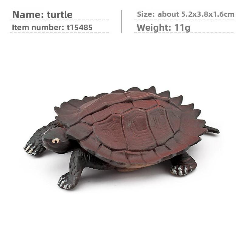 Aquatic Reptile Tortoise Pvc Model Set With Realistic Detailing For Educational Collection
