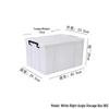 Large Transparent Handheld Food-Grade Storage Box