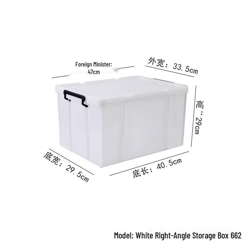 Large Transparent Handheld Food-Grade Storage Box