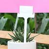 20 Piezas Etiquetas Impermeables Tipo T para Jardinería Marcadores de Árboles y Plantas Etiquetas con Ranura para Tarjeta