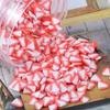 Craft Factory Sale 5mm Resin Polymer Clay Fruit Slices DIY Accessories for Nail Art Decoration Use As Souvenir Style Artificial