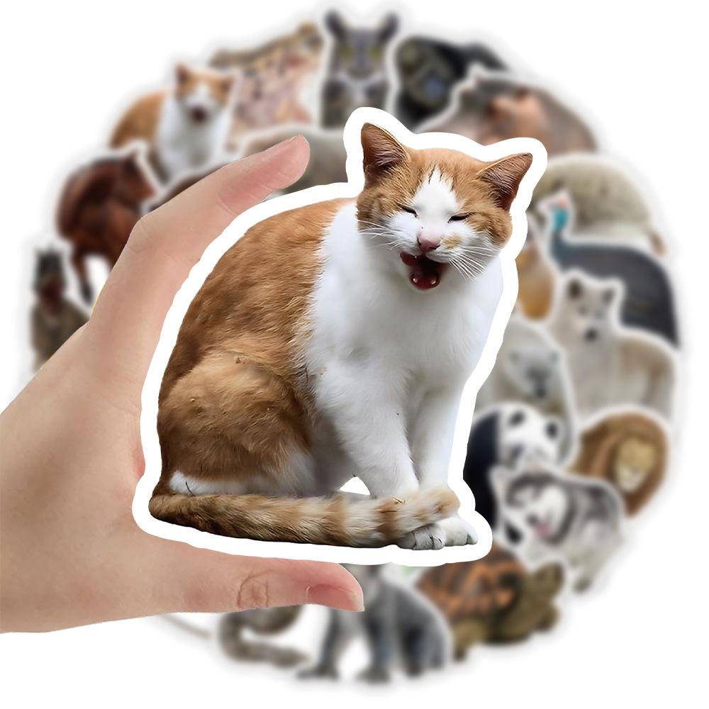 10/25/50 Stück Gemischte Wildtiere Dschungel Tiere Aufkleber Graffiti für Jungen Mädchen DIY Spielzeug Scrapbooking Wasserflasche Handy Kühlschrank